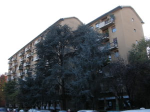 2015-11-05-14-45-06