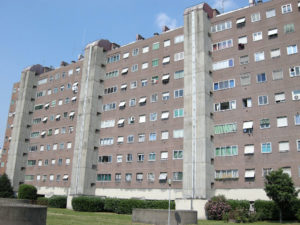DSCN6810