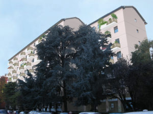 fotomontaggio_rosa2
